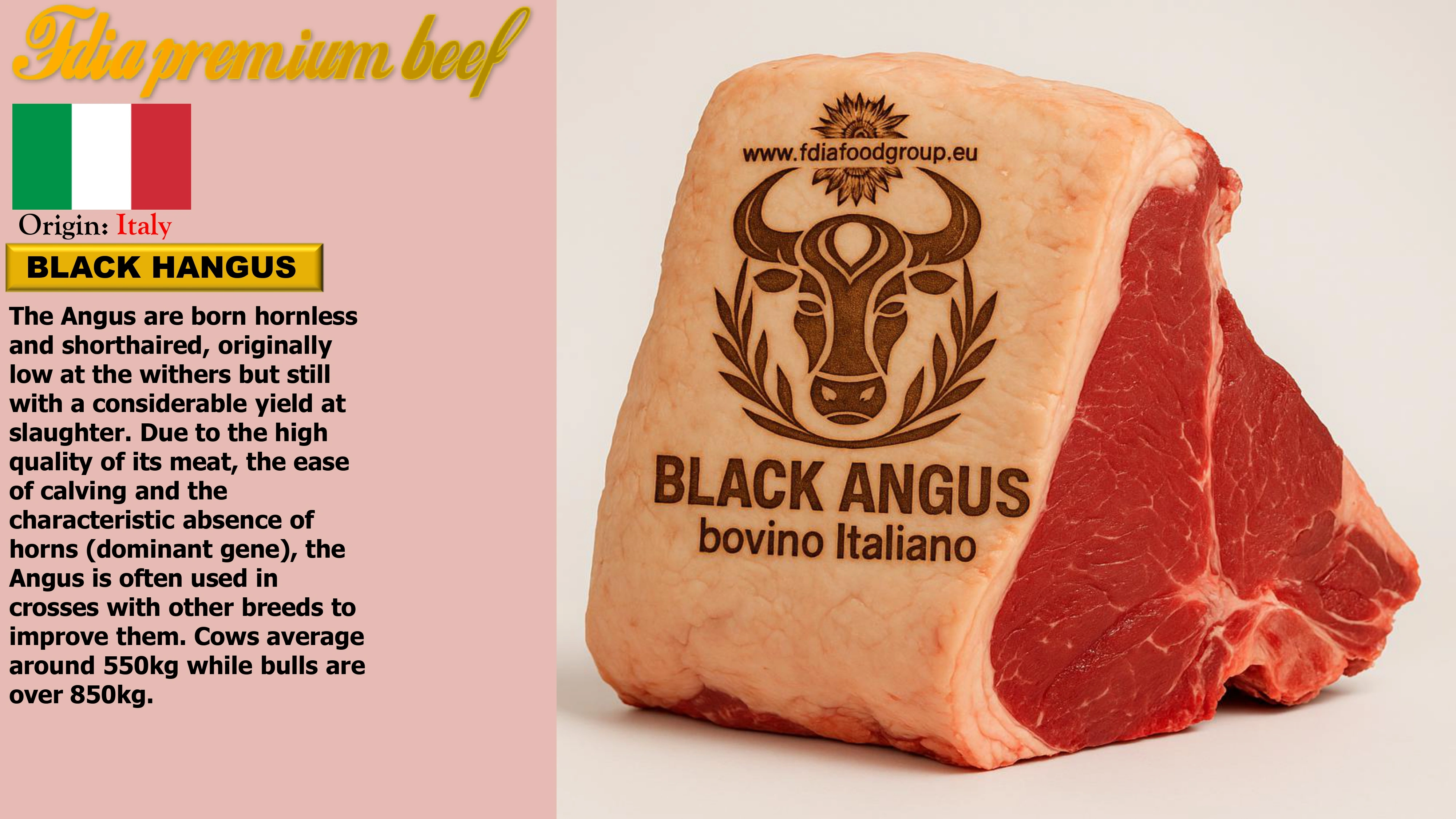 meat (16)
